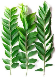 Curry Leaves (Karivepila)