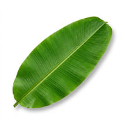 Mayil paper Banana Leaf