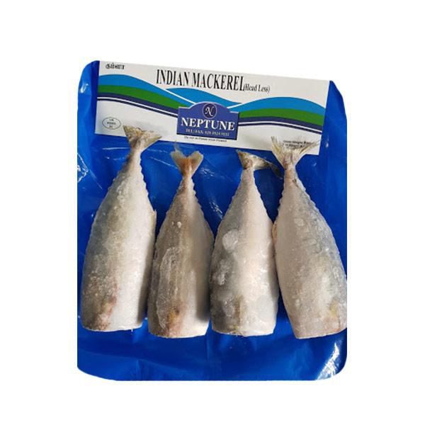 Ocean Feast Indian Mackarel Headless 600 gram