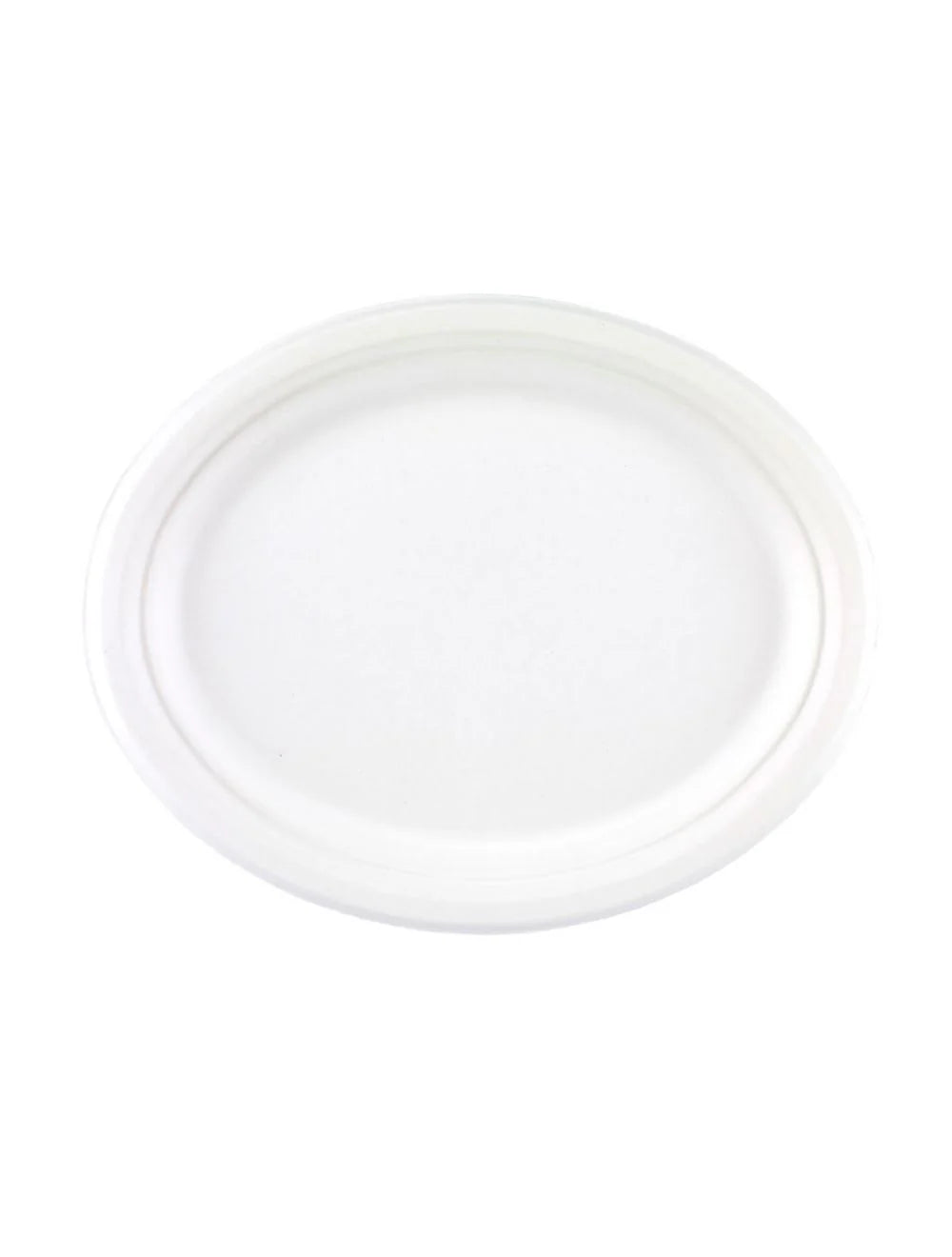 10 Inch Plate 50 Pieces