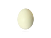 Duck Egg